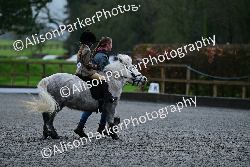 20260125-0796 - Class 9a - Walk Trot Assisted