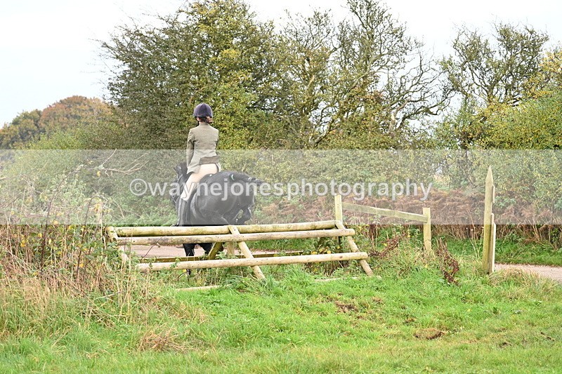 WJ7_0378 - Camera 1 & Last fence