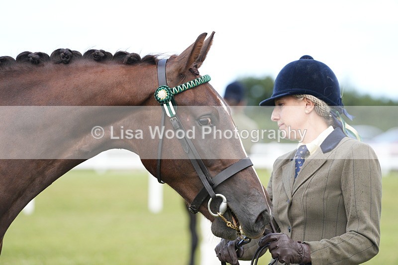 DSC06227 - Class 54: Hunter/Riding Horse/Hack 1 & 2 yr olds