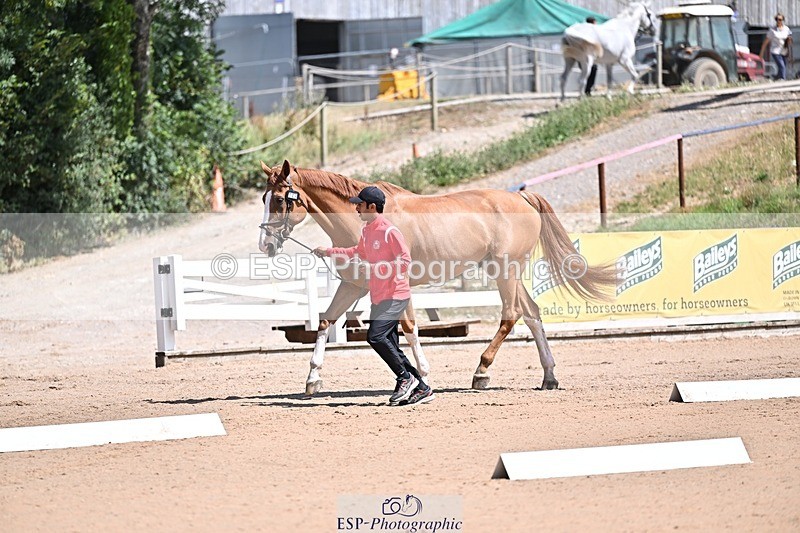 250716-123107-00029 - Trot Up 12.30 to 1.30