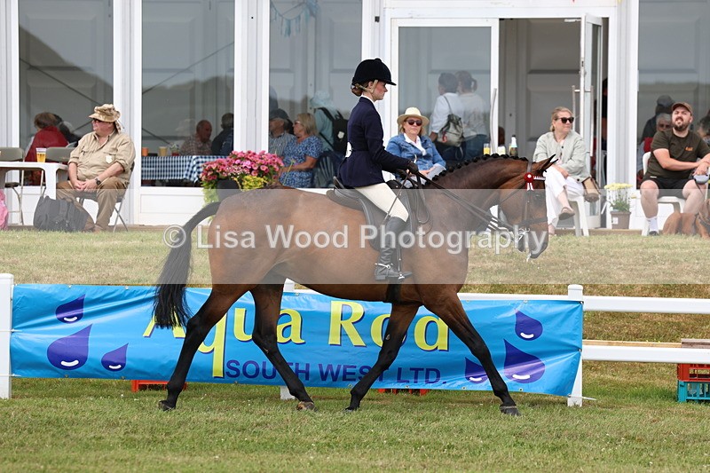 3E7A0812 - Class 8: Open Riding Horse/Hack