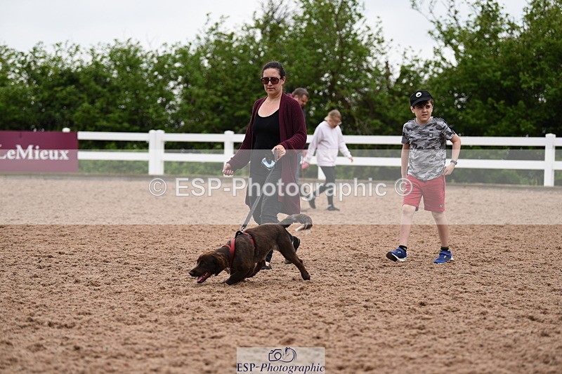 240518A-122308-01135 - Cls 4 Best Crossbred