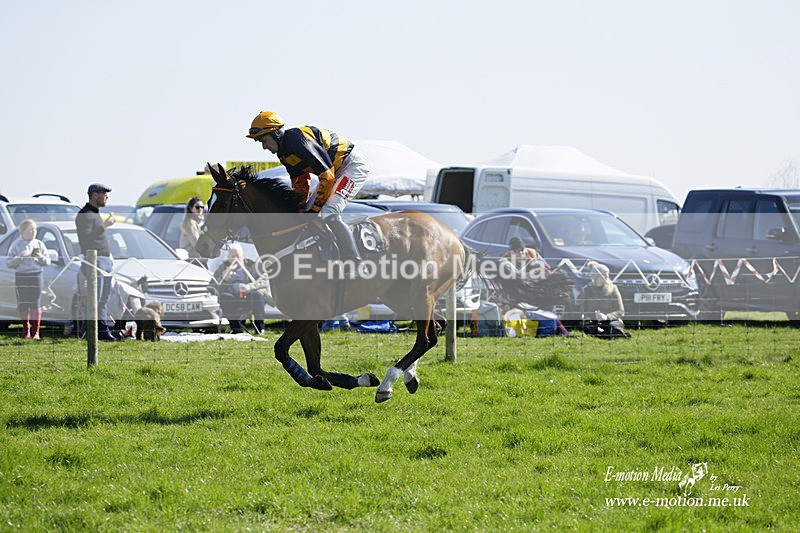 PtP 190322 153 - Wilton Hunt PtP Milborne St Andrew 19/03/22
