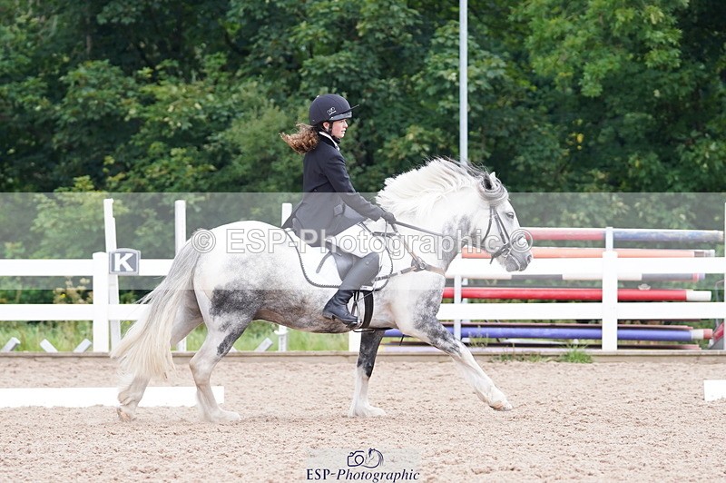 240809A-102014-00495 - Dressage Competition