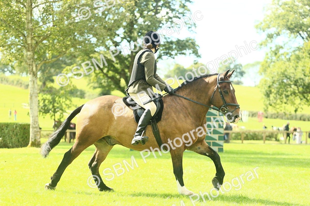 SBM_42100 - S29 - Novice & Newcomers Working Hunter Pony