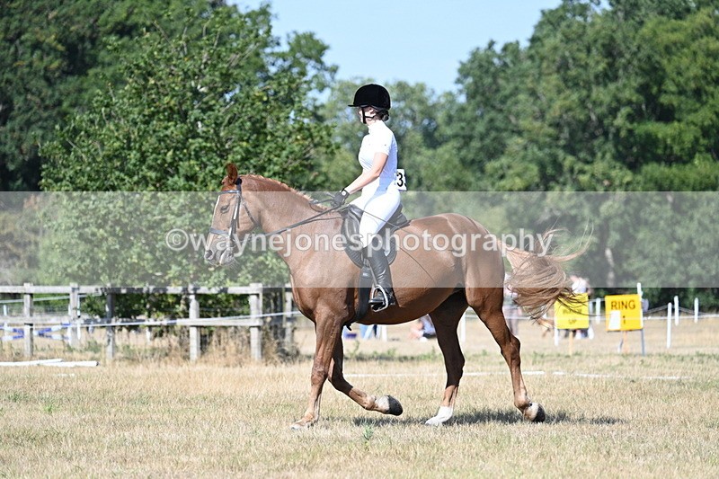 WJ7_0045 - Time 11:03 to 11:28