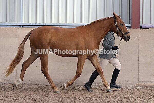 SIAL9614 - Indoor Classes