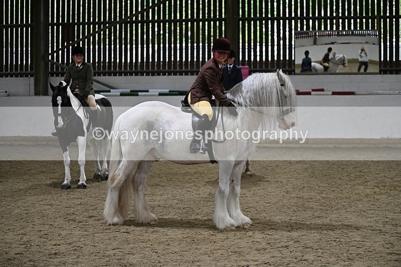 WJ7_4260 - Class 17 Ridden Cob