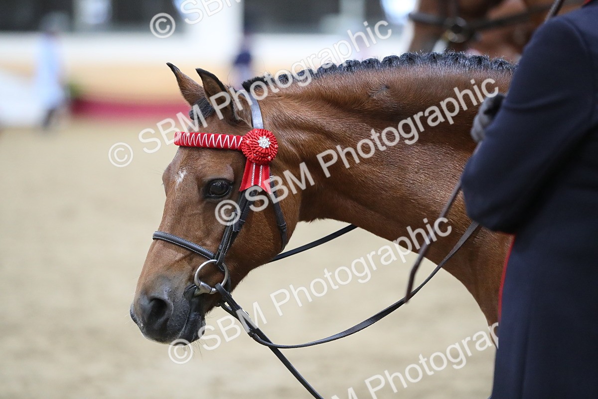 SBM_08434 - Class 11R Regional Ridden Veteran