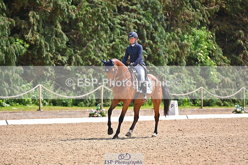 250523A-142038-07302 - B-362-Kat.Raybould-THE.ELLFIELD.DIKSTER