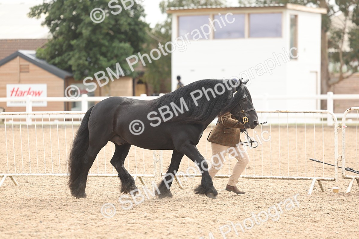 SBM_03154 - Class 16 - IH M&M Wildcard