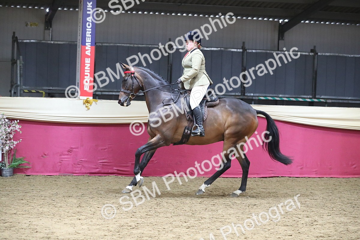 SBM_12348 - Class 108 Ridden Retired Racehorse- Pre Judging