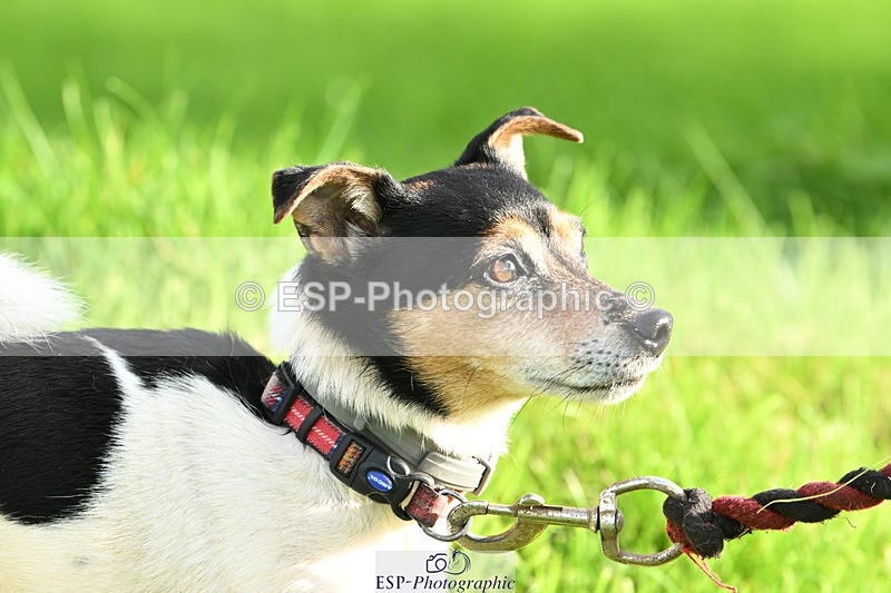 241025-153047-09260 - Presentations - CCI 2 Star Short