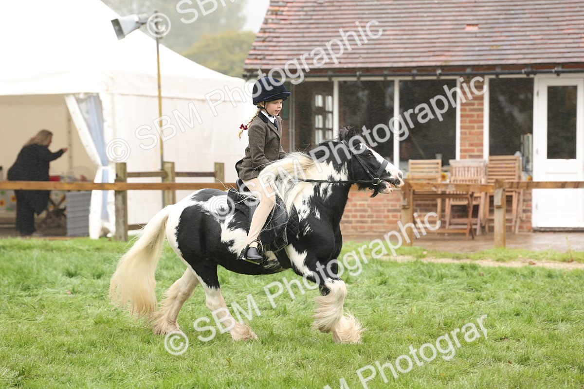 SBM_72829 - S70 - Traditional Cob Ridden