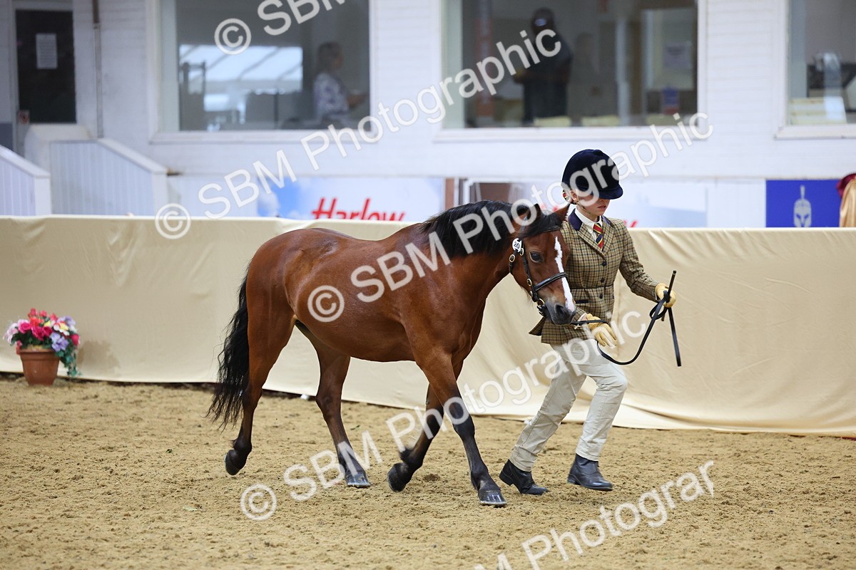 SBM_20901 - Class 902 - Supreme Final IH Veteran