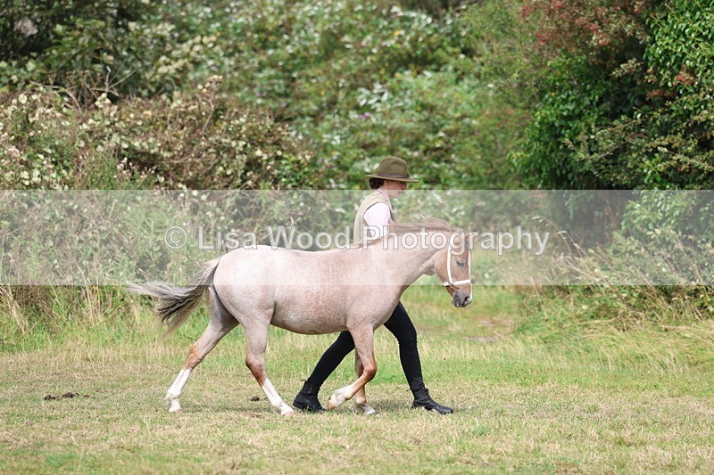 3E7A5336 - Class 19: Best Coloured in Hand