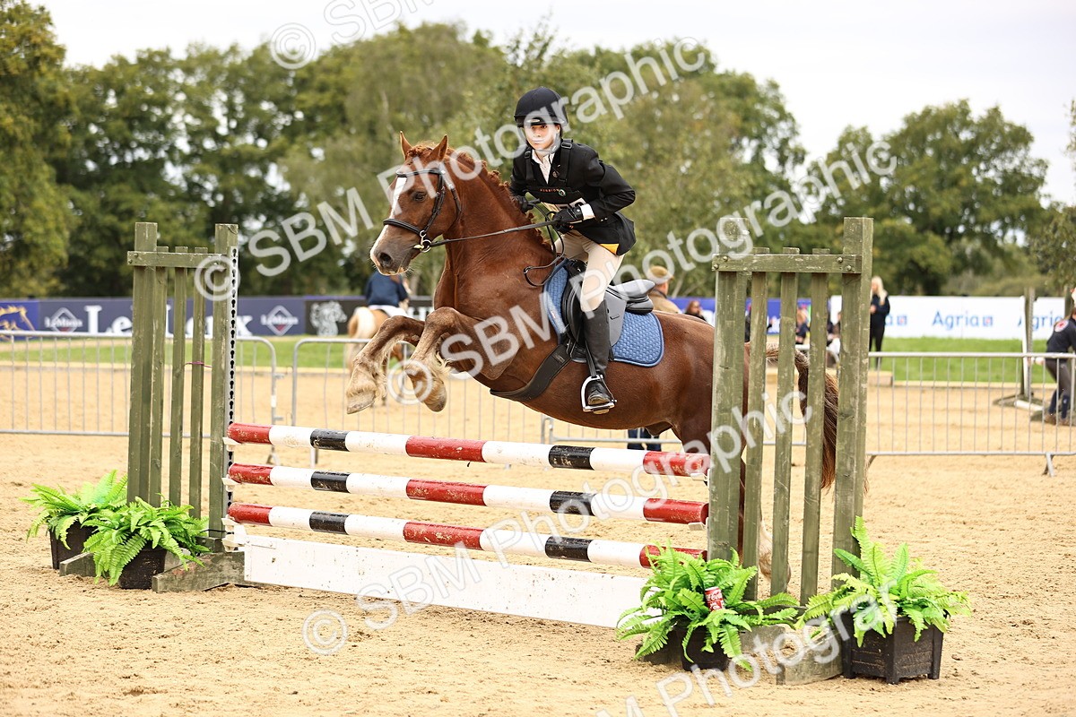 SBM_66449 - J17 - Junior Pony 80cm Championship