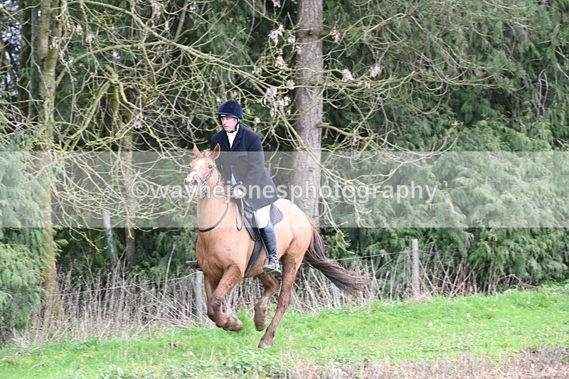 WJ6_9493 - Line Four