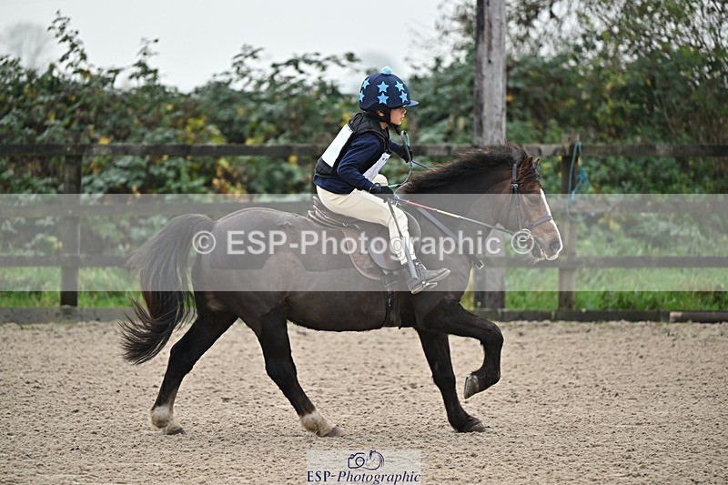 241110-094014-00052 - 40cm Showjumping