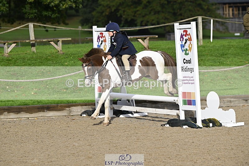 251005A-091548-03018 - Cls 02 GR 50cm