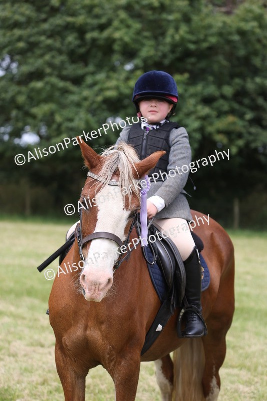 20260614-3215 - Class 22 - Open Working Hunter
