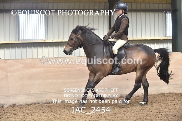 JAC_2454 - CLASS 3 Intermediate Working Hunter