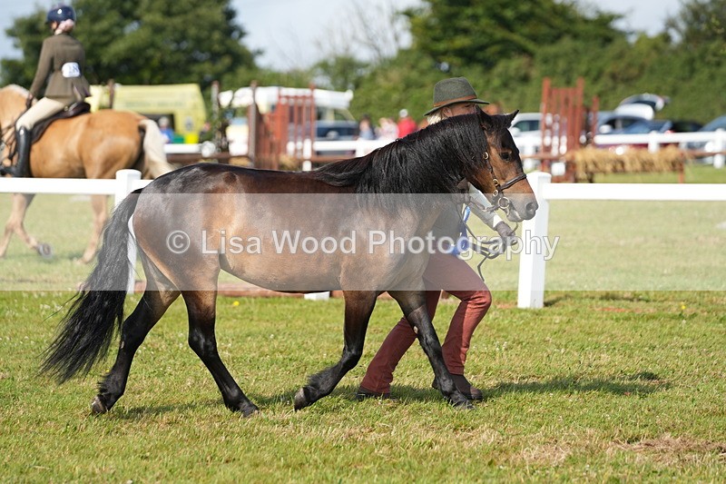 DSC05121 - Class 48: NPS M&M 2/3 year olds