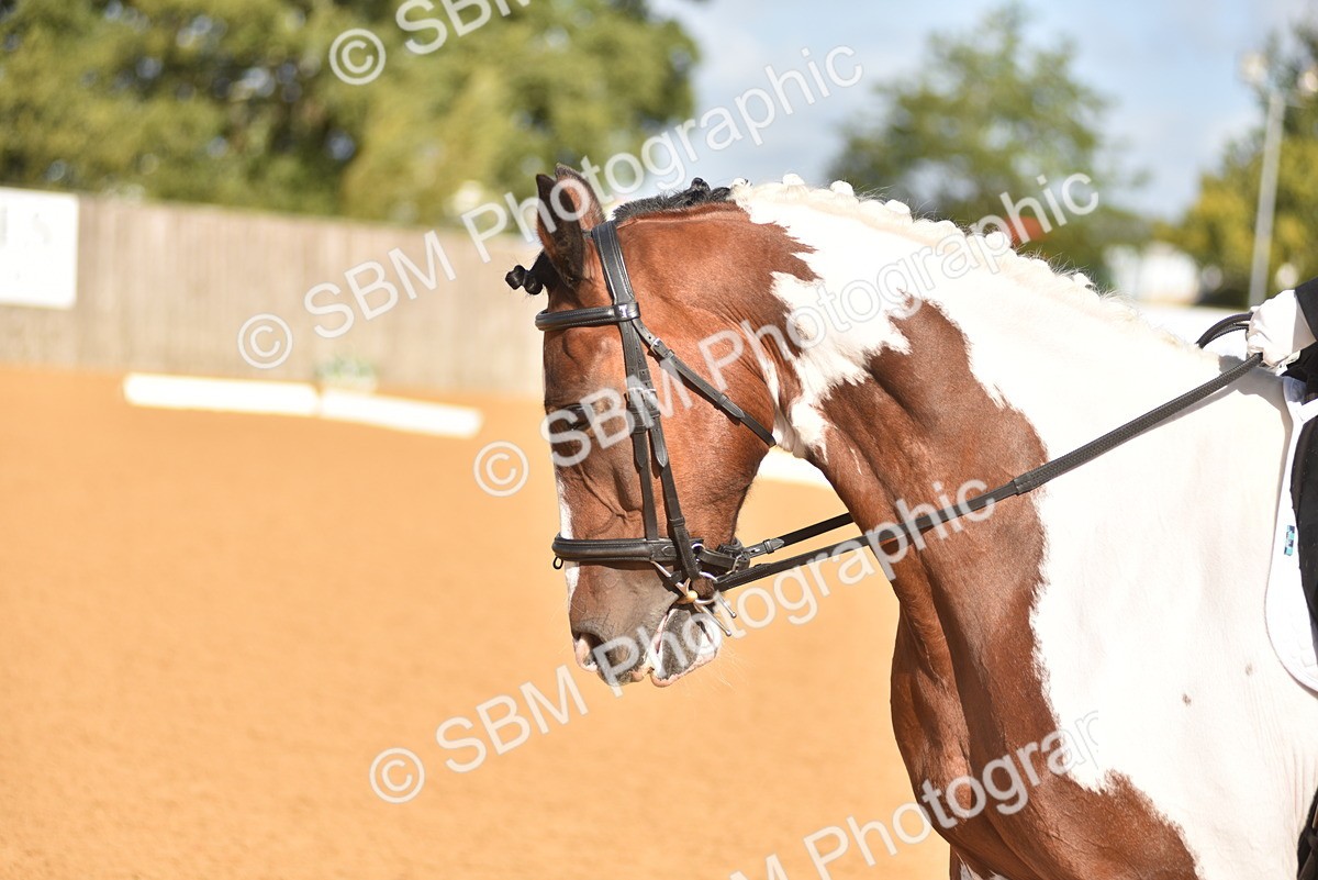 SBM_02939 - D4 - Small Tour Championship Intro 4