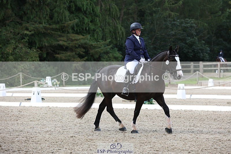 230812-111715-03718 - Cls 5 Novice Bronze 11.15 to 12.50 break