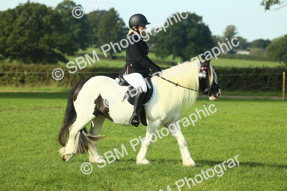 SBM_59319 - S38 - Starters Ridden Showing