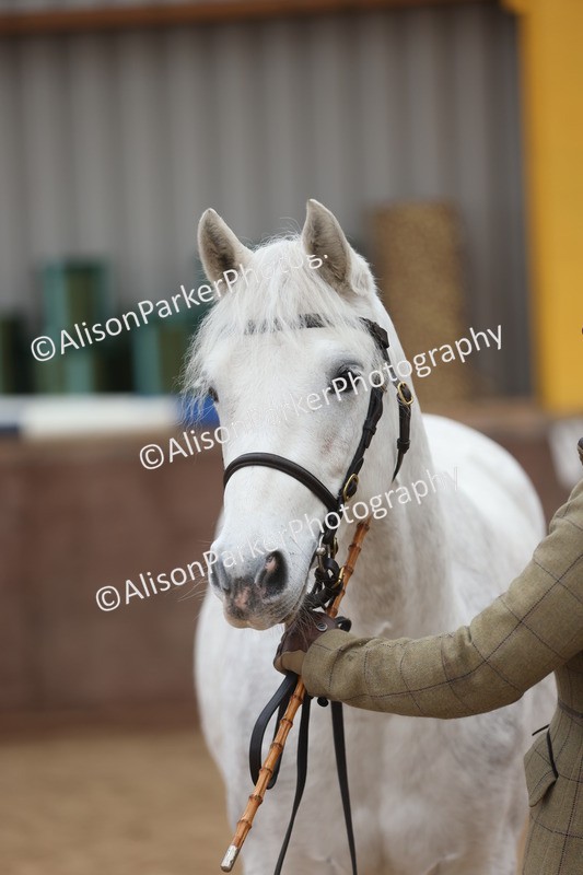 20251109-0934 - Class 26 - 2 and 4 Year Olds