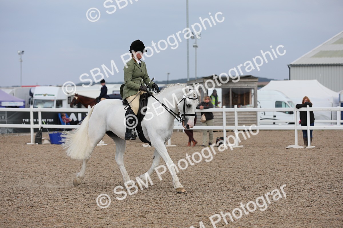 SBM_17789 - Class 315 Best Horse/Rider Combination
