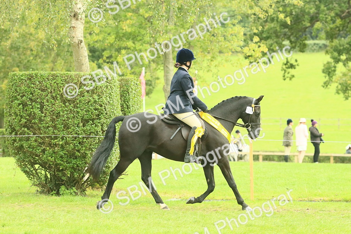 SBM_74984 - Ridden Pony Supreme Championship