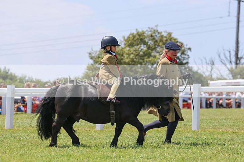 IMG_3030 - M&M Mini Ridden Championship