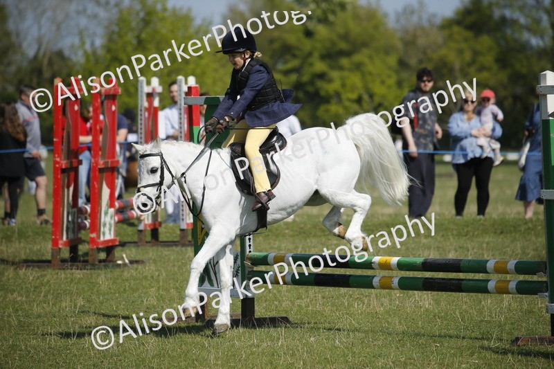 20250427-1968 - Class 13 - Novice Jumping 60cm