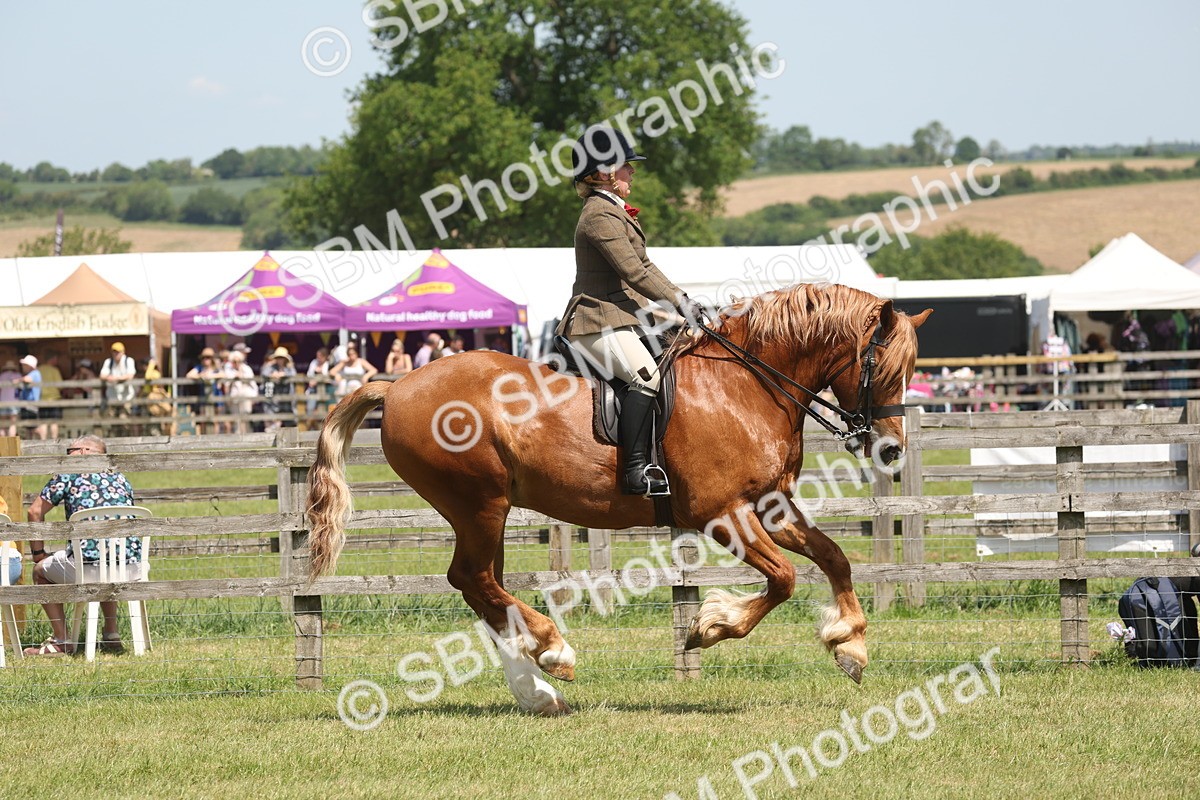 SBM_06931 - Class 26-30 - Mountain and Moorland Ridden