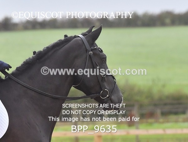 BPP_9635 - INTRO 1 & 2