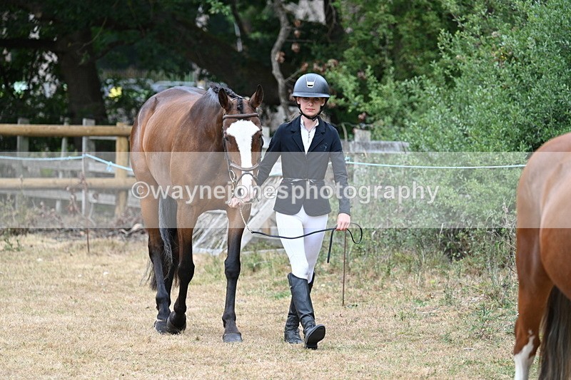 WJ7_8660 - Class 4a Prettiest Mare 14.2hh and over