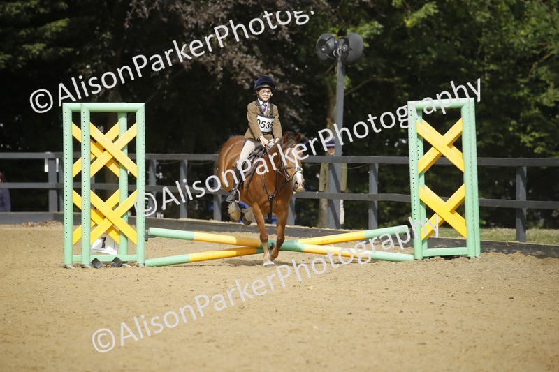 20250622-1586 - 40cm