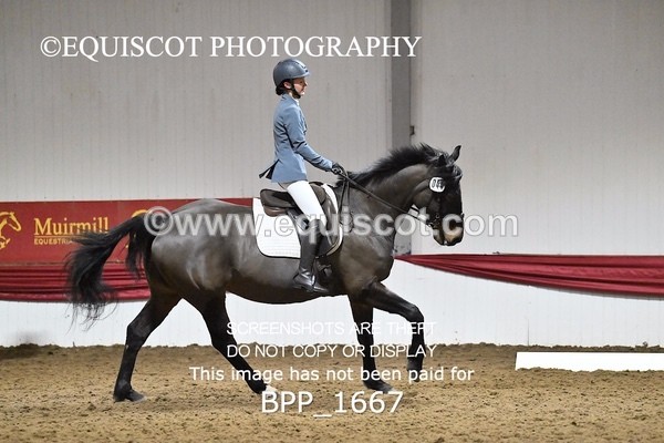 BPP_1667 - PC GRASSROOTS DRESSAGE