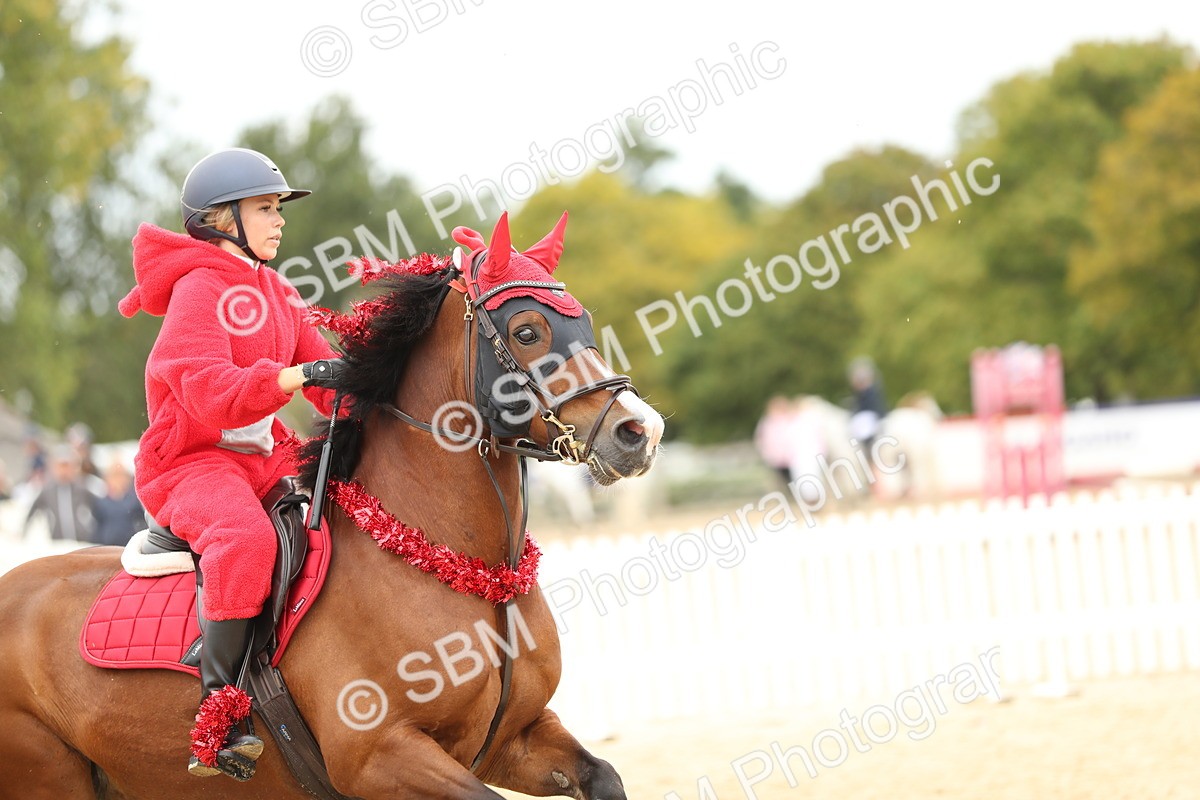 SBM_65873 - J48 - Pairs Jumping Open 70cm & 85cm