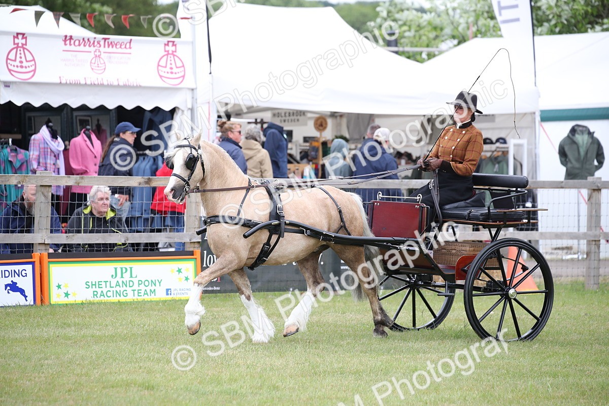 SBM_05644 - Class 12-15 - HOYS Private Driving