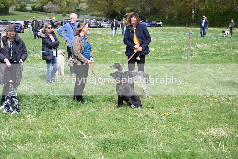 WJ6_8217 - Class 4 Prettiest Bitch