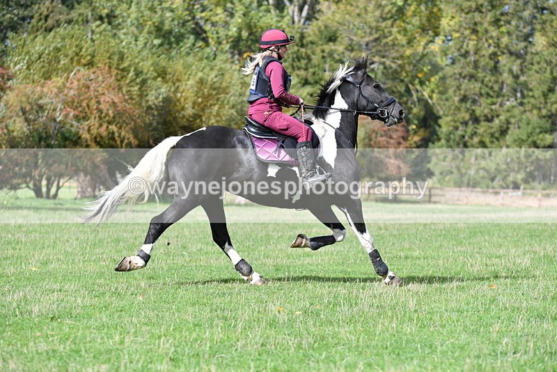 WJ5_8947 - Time 12:34 to 12:57