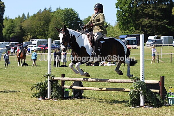 IMG_4102 - Working Hunter