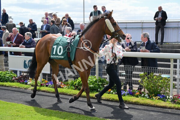 yr12052022r1-32 - Race 1 1.50pm Paddy Power 'Making Flat Less Flat' Stakes