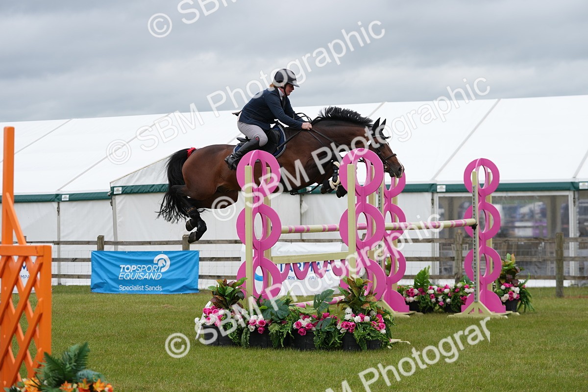 SBM_03342 - Class 201 - British Horse Feeds Speedi Beet Horse of the Year Show Grade  C