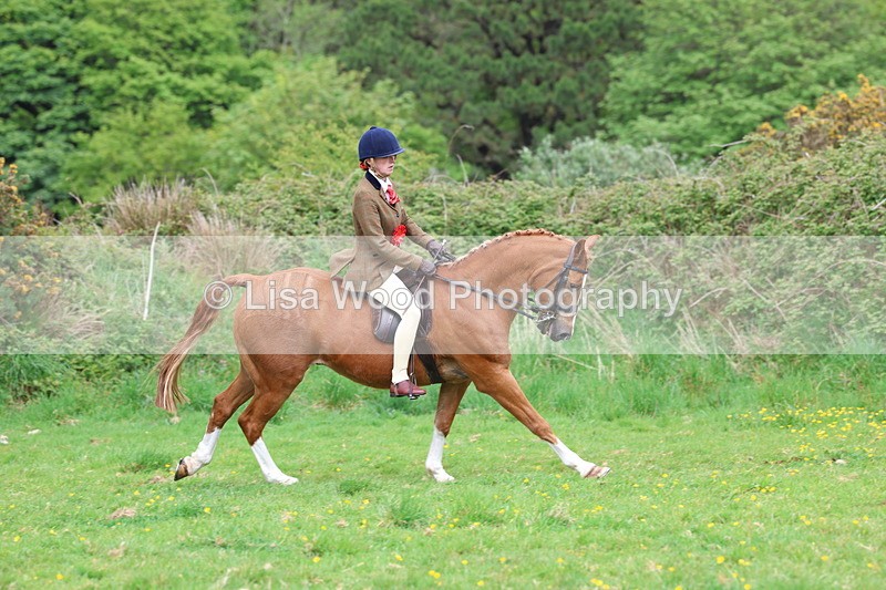 3E7A2250 - Ridden Championship