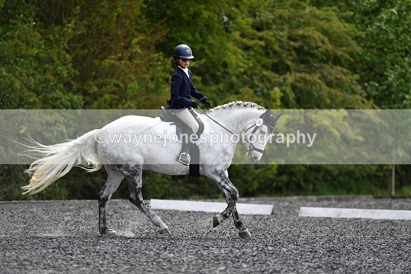 WJ5_1193 - Time 13:45 to 14:20