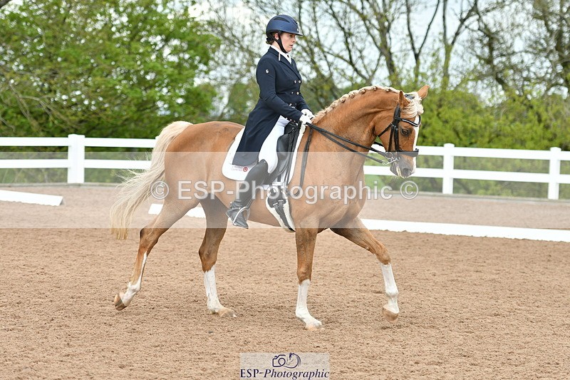 230511A-160409-01289 - BD Cls 18 FEI PSG